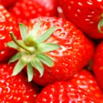 strawberry wallpapers android application logo